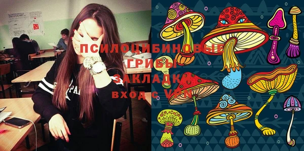 гидропоника Верхнеуральск
