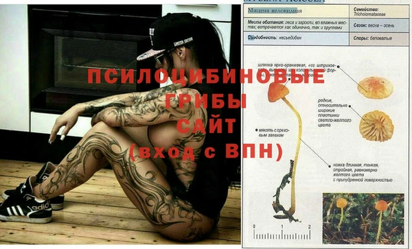 не бодяженный Верея