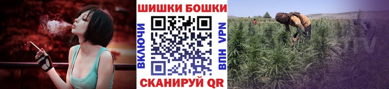 Купить  Норильск  Бошки Шишки сатива 